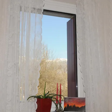 Apartment Delizioso