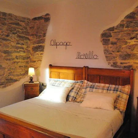 Delizioso フェルトレ