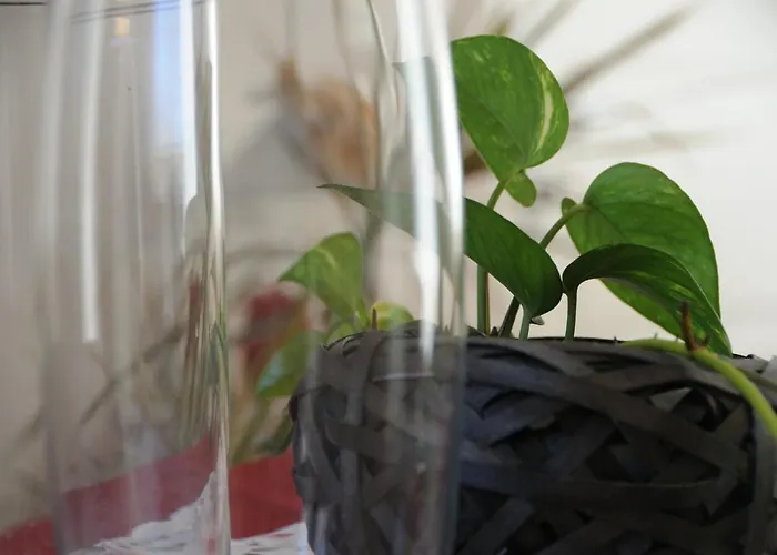 Delizioso アパート フェルトレ